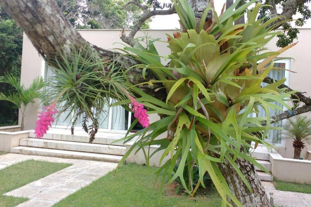 Villa Buzios Requinte & Sofisticacao Esterno foto